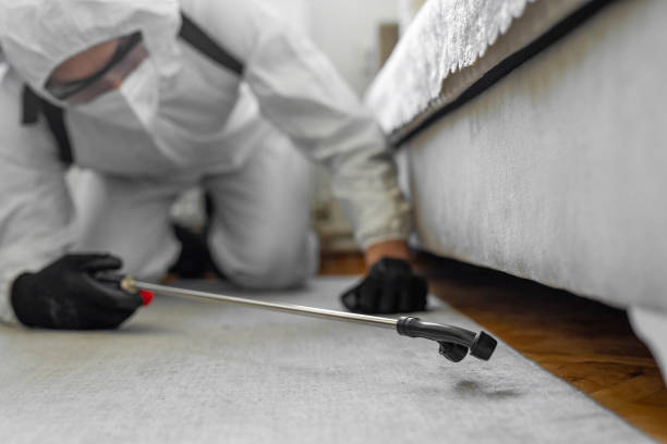 Professional Termite Control technician working in Seymour, WI
