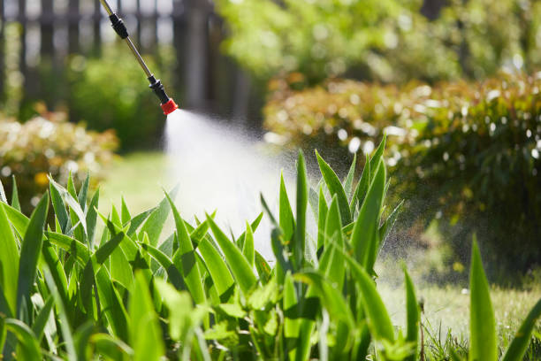 24/7 Emergency Termite Control experts in Seymour, WI